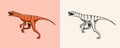 Dinosaur Velociraptor, skeletons, fossils. Prehistoric reptiles. Vintage sketch for t-shirt print or poster. Animal