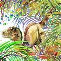Dinosaur watercolor. Dinosaur, tropical exotic forest background illustration Dinosaur.