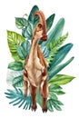 Dinosaur watercolor painting illustration. Jungle, palm leaves elements. Realistic dinosaur isolated white background Royalty Free Stock Photo