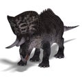 Dinosaur Zuniceratops Royalty Free Stock Photo