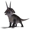 Dinosaur Zuniceratops Royalty Free Stock Photo