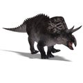 Dinosaur Zuniceratops Royalty Free Stock Photo