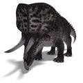 Dinosaur Zuniceratops Royalty Free Stock Photo