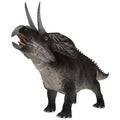 Dinosaur Zuniceratops Royalty Free Stock Photo