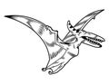 Pterodactyl dangerous predator dino flying