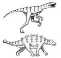 Dinosaur Ankylosaurus, Talarurus, Velociraptor, Euoplocephalus, Saltasaurus, skeletons, fossils. Prehistoric reptiles Royalty Free Stock Photo