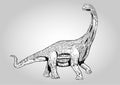Dinosaurs Brachiosaurus Prehistoric Vector Illustration