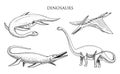 Dinosaurs Elasmosaurus, Mosasaurus, Barosaurus, Diplodocus, Apatosaurus, Pterosaur, skeletons, fossils, winged lizard Royalty Free Stock Photo