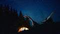 Dinosaurs huge higth walking through the night forest comes across tourists group in travel tent Royalty Free Stock Photo