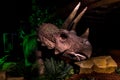 Dinosaurs Revealed - Triceratops