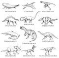 Dinosaurs set, Tyrannosaurus rex, Triceratops, Barosaurus, Diplodocus, Velociraptor, Triceratops, Stegosaurus, skeletons