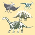 Dinosaurs skeletons silhouettes set fossil bone tyrannosaurus prehistoric animal dino bone vector flat illustration.