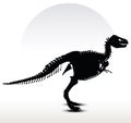 dinosaurs trex skeleton Royalty Free Stock Photo