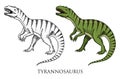 Dinosaurs Tyrannosaurus rex, Tarbosaurus, Struthiomimus skeletons, fossils. Prehistoric reptiles, Animal engraved Hand