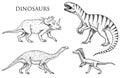 Dinosaurs Tyrannosaurus rex, Velociraptor, Ceratosaurus, Afrovenator, Megalosaurus, Tarbosaurus, Struthiomimus skeletons