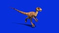 Dinosaurs velociraptor run side dx jurassic world prehistory