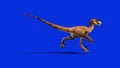 Dinosaurs velociraptor run side jurassic world prehistory