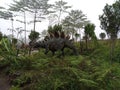 Dinosaurus statue at park with foq this morning