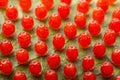 Dione juno caterpillar butterfly eggs on passionfruit leaf - high magnification