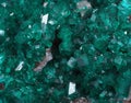 Dioptase Royalty Free Stock Photo