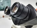 Diopter adjustment and eyepieces ocular lens of a microscope Royalty Free Stock Photo
