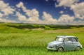 Diorama - Vintage car on the meadow in the countryside