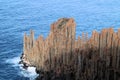 A Diorite Spine Extending into the Ocean on Cape Raoul Tasmania.