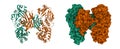 Structure of diphtheria toxin dimer