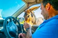DIPKARPAZ, CYPRUS, AUGUST 27, 2017: Wild donkey is begging a car driver for food