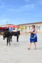 Dipkarpaz, Karpas Peninsula, Northern Cyprus - Oct 3rd 2018: Streets of Cypriot city taken on a sunny day with wild donkeys and