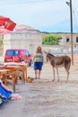 Dipkarpaz, Northern Cyprus - Oct 3rd 2018: Female tourist standing on the street next to the wild donkey. Market stands and