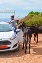 Dipkarpaz, Turkish Northern Cyprus - Oct 3rd 2018: Young happy man standing by opened car together with several wild donkeys. The