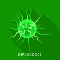 Diplococci icon, flat style