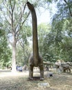 Diplodocus in Dino Park