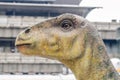 Diplodocus dinosaur head