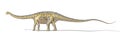 Diplodocus dinosaur photo-realistc rendering, with full skeleton superimposed.