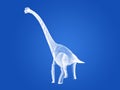 Diplodocus   dinosaurs  ,3d rendering Royalty Free Stock Photo