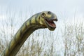 Diplodocus long necked prehistoric reptile