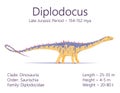 Diplodocus. Sauropodomorpha dinosaur. Colorful vector illustration of prehistoric creature diplodocus and description of Royalty Free Stock Photo