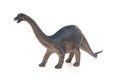 Diplodocus toy on white background Royalty Free Stock Photo