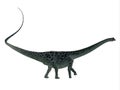 Diplodocus Dinosaur Side Profile