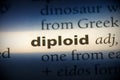 Diploid