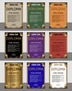 Diploma vertical template. Set. Gold frame.