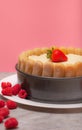 Diplomat cake or Charlotte Cake with strwaberries and lady fingers in baking pan on a wooden table with pink background / Focus on Royalty Free Stock Photo