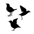 Dipper vector silhouettes