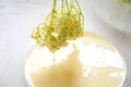 Dipping elderflower into pancake batter for a traditional fried