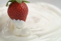 Dipping fresh strawberry into cream