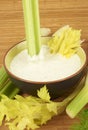 Dipping sour cream with vegetables Royalty Free Stock Photo