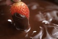 Dipping strawberry into dark premium chocolate Royalty Free Stock Photo