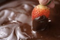 Dipping strawberry into dark premium chocolate Royalty Free Stock Photo